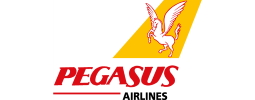 Pegasus